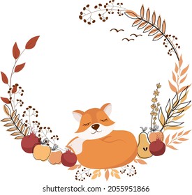 Autumn. Sleeping fox. Vector illustration of a fox sleeping surrounded by autumn trees, fruits and pumpkins