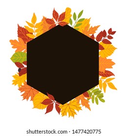 Autumn special offer banner with colorful seasonal fall leaves. Vector illustration