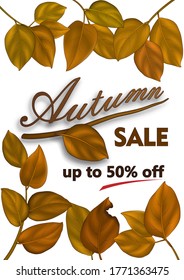 Autumn special offer banner with semi realistic autumn leaves in fall colors. Season card perfect for prints, flyers, banners, promotion, special offer and more. Vector autumn.