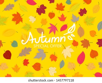 Autumn special offer. Color fall leaves 