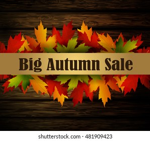 autumn special sale poster on wood background