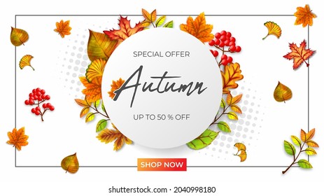 autumn special sale vector illustration white background