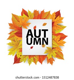 Autumn spesial offer sale on background with diferrent leaves. Design for banner, post, card, label