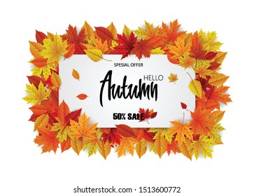 Autumn spesial offer sale on background with diferrent leaves. Design for banner, post, card, label