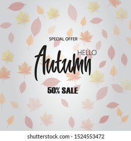 Autumn spesial offer sale on background with diferrent leaves. Design for banner, post, card, label