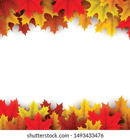 Autumn square background with beautiful colorful maple leaves on white. Season decoration - Vector