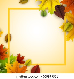 Herbstquadrat Hintergrund mit bunten Ahorn- und Birkenblättern. Vektorgrafik.