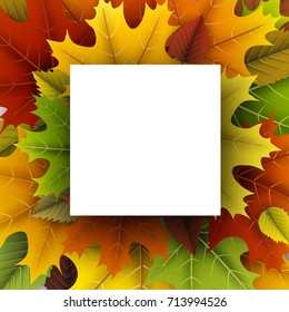 Autumn square background with colorful maple and birch leaves. Vector illustration.