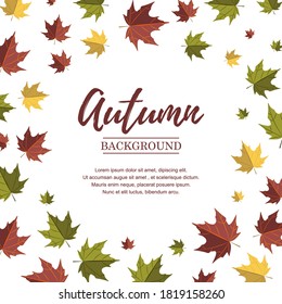 Autumn square design with colorful falling maple leaves. Place for text. Vector illustration