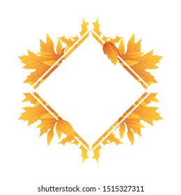 autumn square frame with leafs decoration vector illustration design