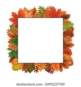 autumn square frame, lots of bright fallen leaves  framed with an empty center. isolated autumn wreath on a white background. colorful vector illustration on an autumn theme