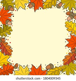 Autumn square frame made from hand-drawn foliage. Yellow and orange leaves of maple and oak, oak acorns. Template or blank for fall decor. Vector illustration.