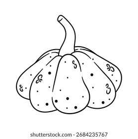 Autumn squash vegetable coloring page