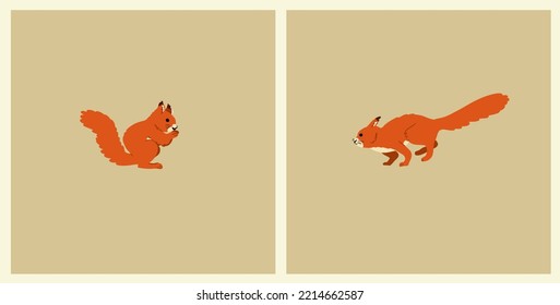 Autumn Squirrel in different poses