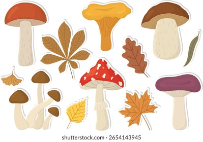 Autumn stickers with cute mushrooms and leaves. Hand drawn colorful set of fall elements