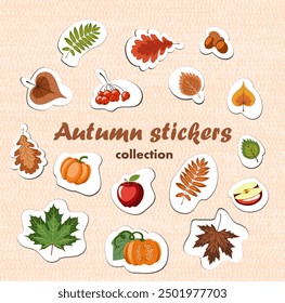 autumn stickers, a set of painted autumnal objects, fallen leaves, red apples, ripe pumpkins. collection of vector illustrations with fall mood