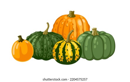 Autumn still life  Pumpkins   decorative gourd  Decorative composition for halloween   thanksgiving  Hand drawn vector illustration  
