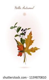 Autumn still life with red, green and yellow leaves and black berries. Vector illustration