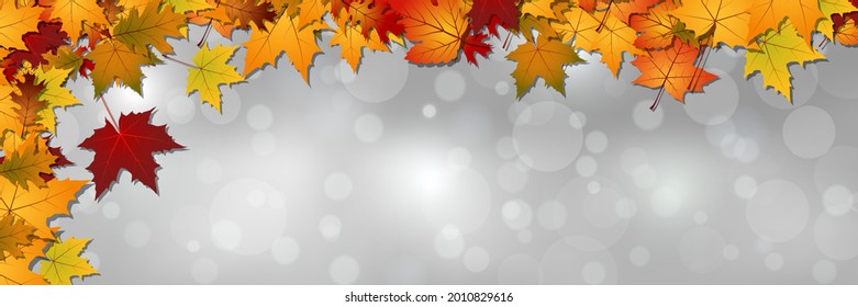 Autumn style banner template. Abstract blurred vector background with bokeh effect and colorful leaves