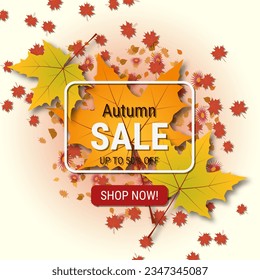Autumn style elegant vector background. Design for square flyer, invitation card, promo poster, discount coupon, voucher, sale banner