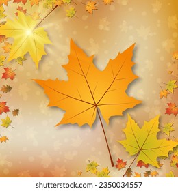 Autumn style elegant vector background. Design for square flyer, invitation card, promo poster, discount coupon, voucher, sale banner