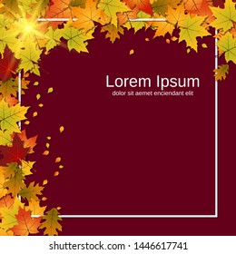 Autumn style vector background with colorful leaves and white frame