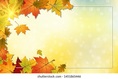 Autumn style vector background with colorful leaves and white frame