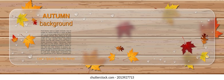 Autumn style vector banner template. Wooden background with colorful leaves, glass billboard and glassmorphism effect