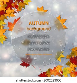 Autumn style vector illustration. Abstract blurred background with colorful leaves, glass billboard and glassmorphism effect