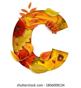 Autumn stylized alphabet with foliage. Letter C.