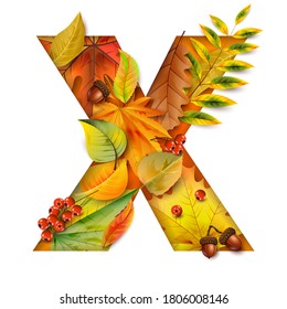 Autumn stylized alphabet with foliage. Letter X.