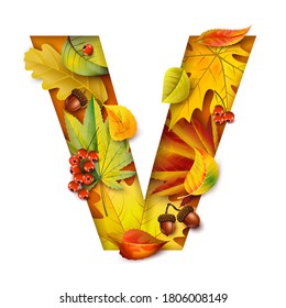 Autumn stylized alphabet with foliage. Letter V.