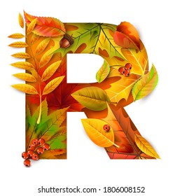 Autumn stylized alphabet with foliage. Letter R.