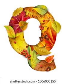 Autumn stylized alphabet with foliage. Letter Q.