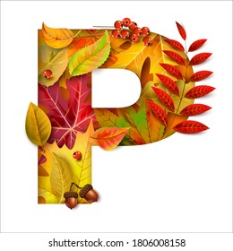 Autumn stylized alphabet with foliage. Letter P.