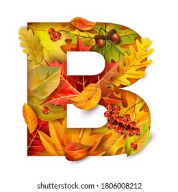 Autumn stylized alphabet with foliage. Letter B.