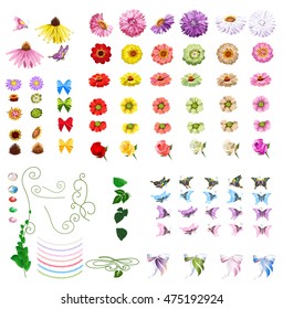 Autumn and summer flowers isolated on white background. Set of vector illustrations.