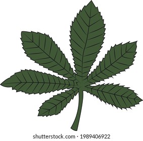 Ilustración plana de hojas vectoriales verdes de verano en otoño