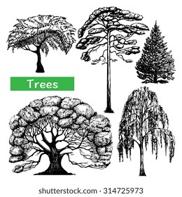 Autumn summer spring forest deciduous and coniferous trees icons collection abstract hand drawn  black vector isolated illustration