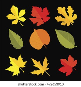 Autumn, summer, spring leaves set. Red, yellow, green flat icon. Vector