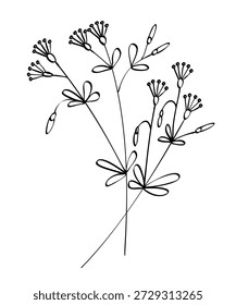 Otoño verano primavera ramita brote de planta silvestre con flores y hojas de estambres dibujados con contorno de línea negra para el patrón decorativo. Ilustración vectorial.