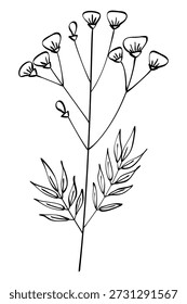 Herbst Sommer Frühling Zweig wilde Pflanze sprießen mit Blumen und ohne Staub Blätter mit schwarzen Linien Umriss für dekorative Muster gezeichnet. Vektorgrafik.
