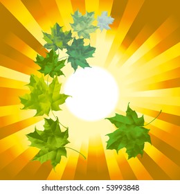 Autumn sun
