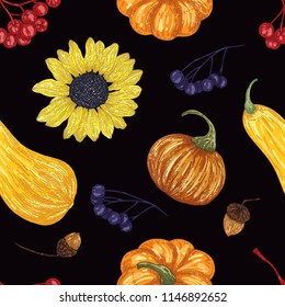 Autumn sunflower, pumpkin, zucchini, rowan, aronia, acorns. Vector seamless pattern on black background. Detailed hand drawn pattern. Design of textiles, paper, for fashion, fabric, cooking book.