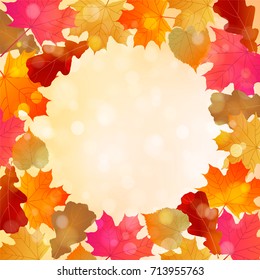 Autumn sunny background with colorful leaves.
