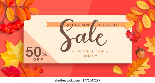 Autumn super sale banner with fall elements.Big discounts limited time only with colorful leaf,rowan berries,acorns,pumpkin for seasonal shopping promotion,web,flyers.Template for cards,ad.Vector