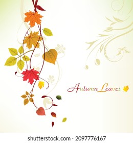 autumn swirl background. leaves on white background, vector
