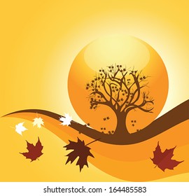 autumn and the sycamore tree