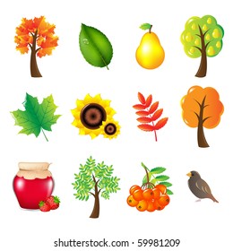 Autumn Symbols And Elements, Isolated On White Background, Vector Illustration