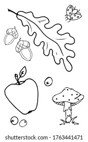 An autumn symbols set. Doodle brush stroke, cartoon hand drawn style, outline isolated elements, cute illustrations of apple, acorn, oak, mushroom amanita, ladybug, berry. White background. Vector
